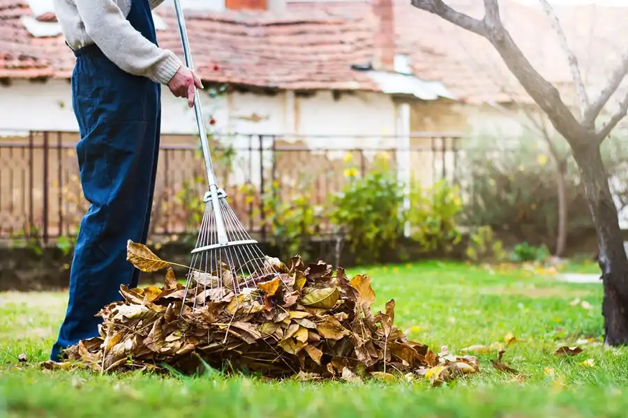 How To Clean A Backyard in Hillsboro, OR