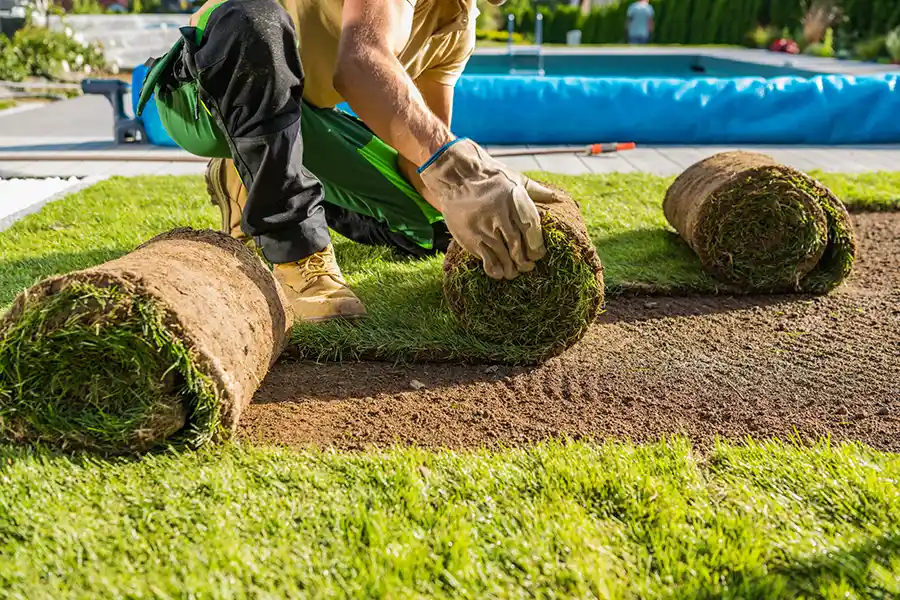 How long after installing sod can you walk on it in Hillsboro, OR