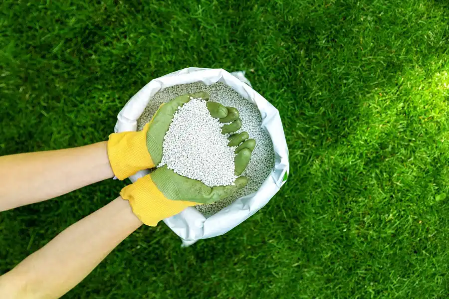 When is the best time to fertilize your lawn Hillsboro, OR