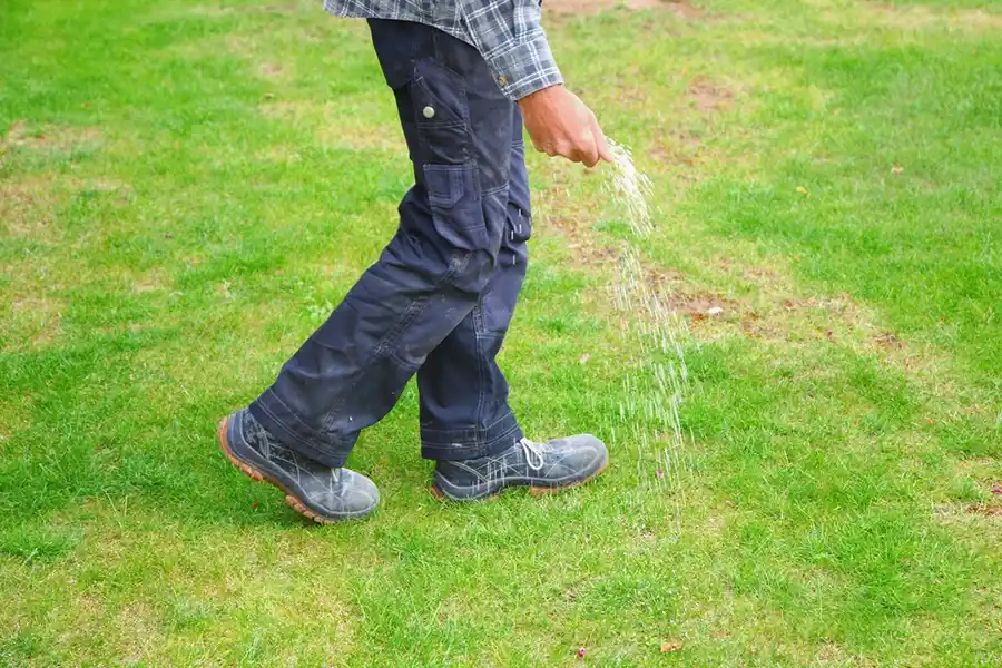 Efficient Lawn Fertilization in Hillsboro, OR