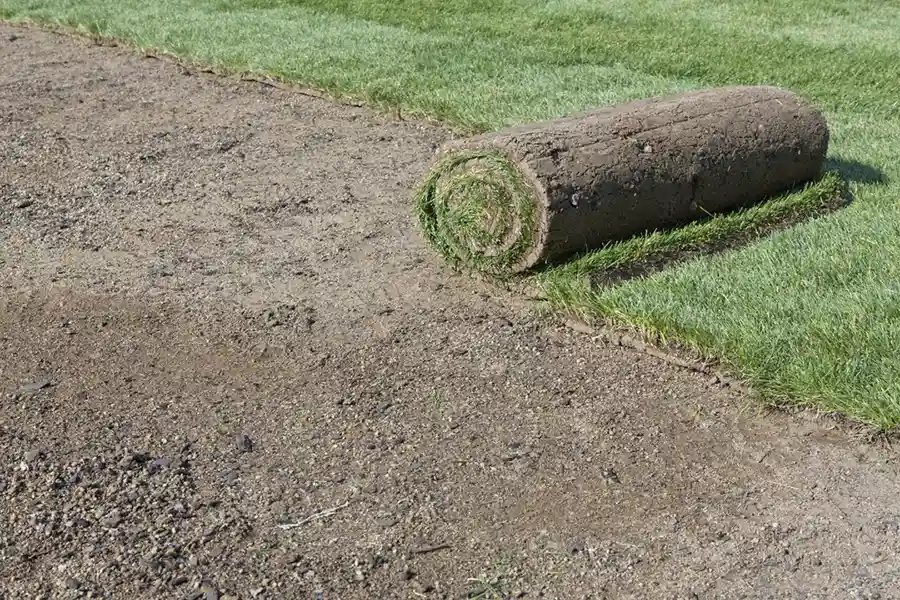 Efficient Sod Installation in Hillsboro, OR