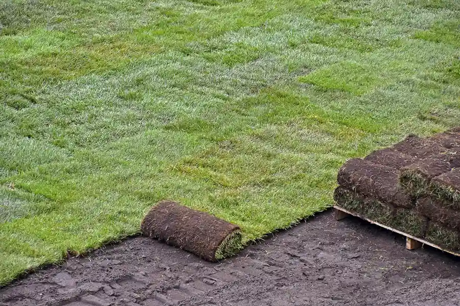 Best Sod Installation in Hillsboro, OR