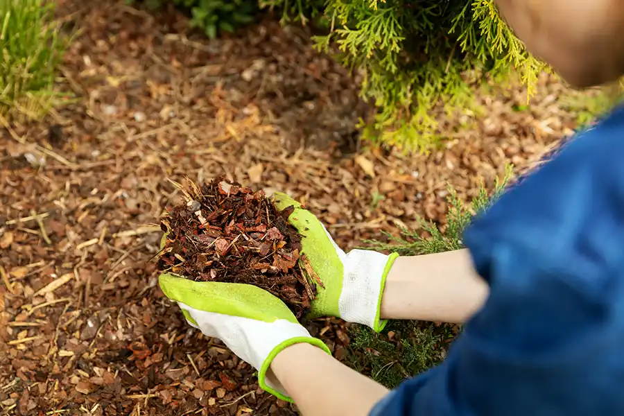 What does mulch do in Hillsboro, OR