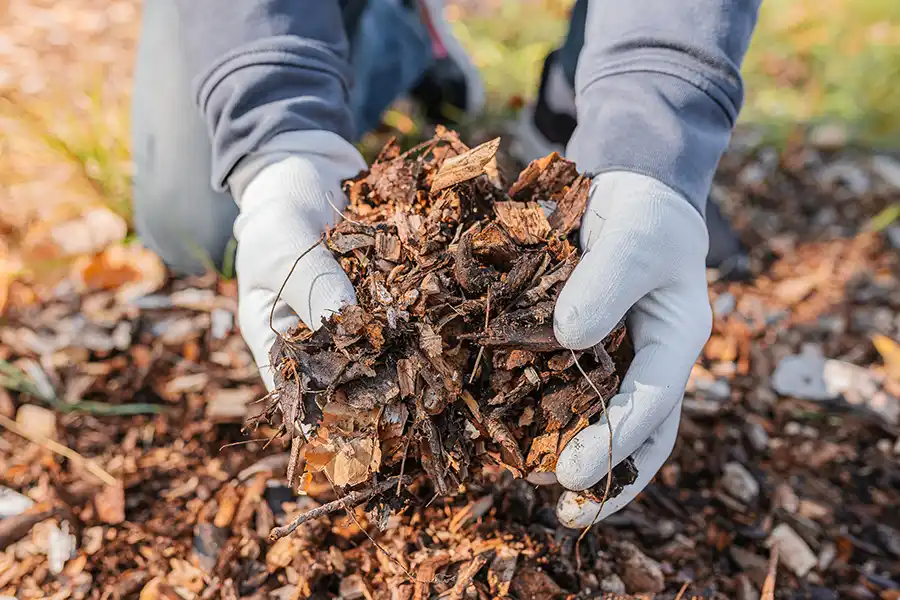 What does mulch do Hillsboro, OR