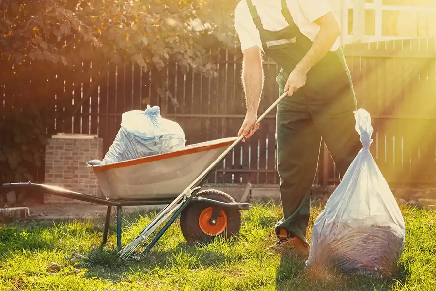 Best Yard cleanup in Hillsboro, OR